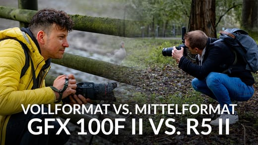 mittelformat-vs-vollformat.utuznamV